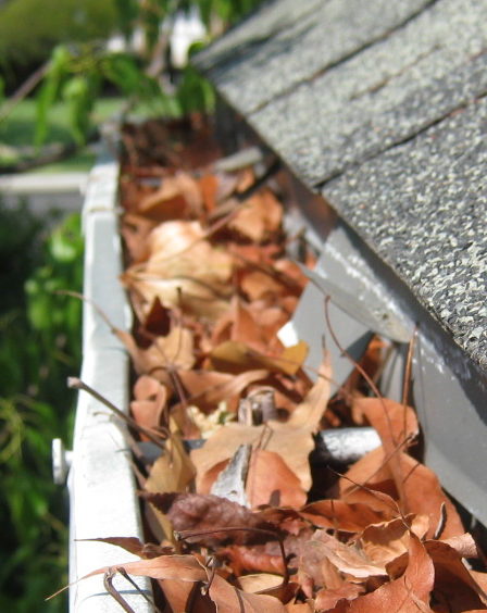 Central Florida Gutter Installation Gutter Repair Expert